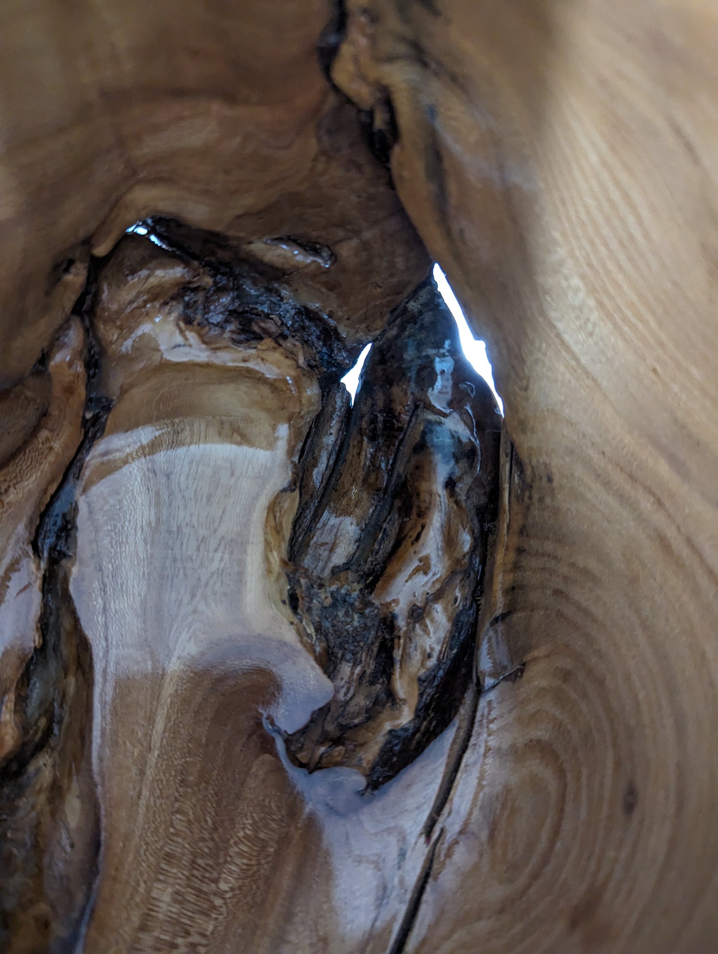 Local Wood Bowl