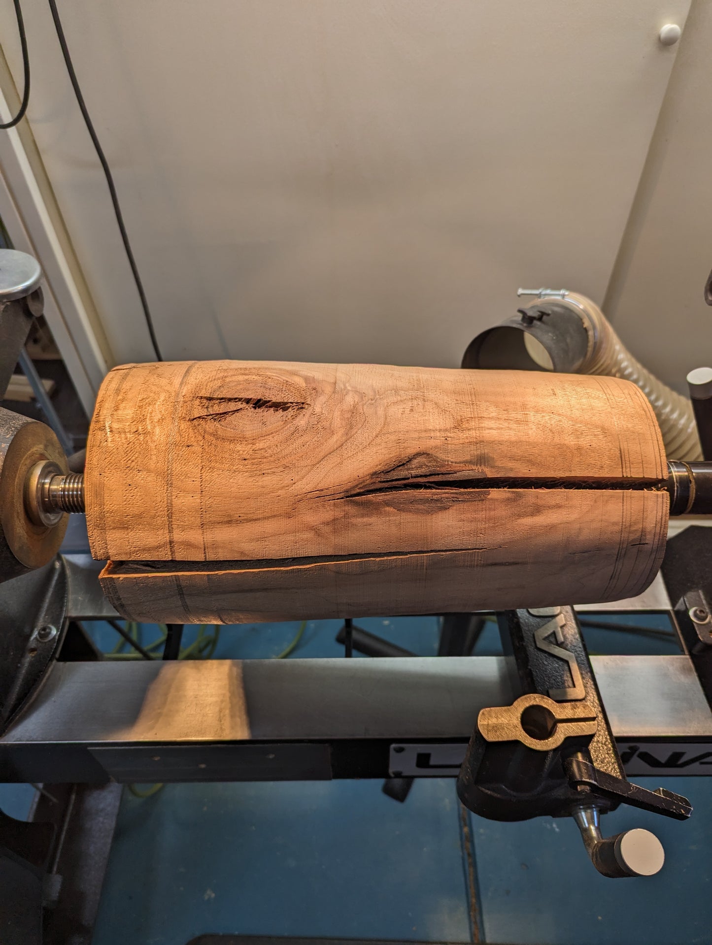 Walnut, Antler with 1800 Flat Barbwire