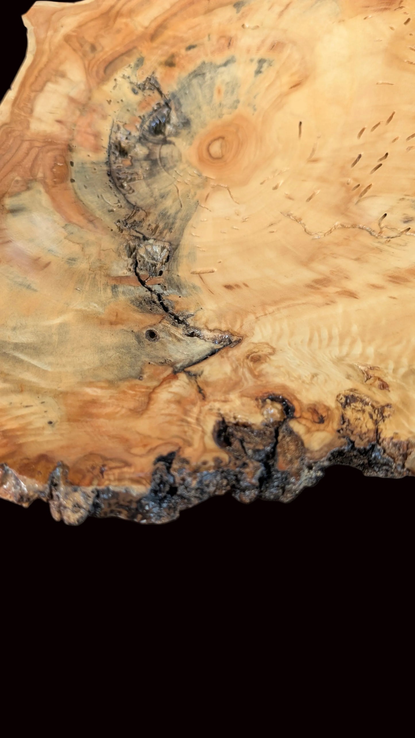 Colorado Natural Edge Wood Platter