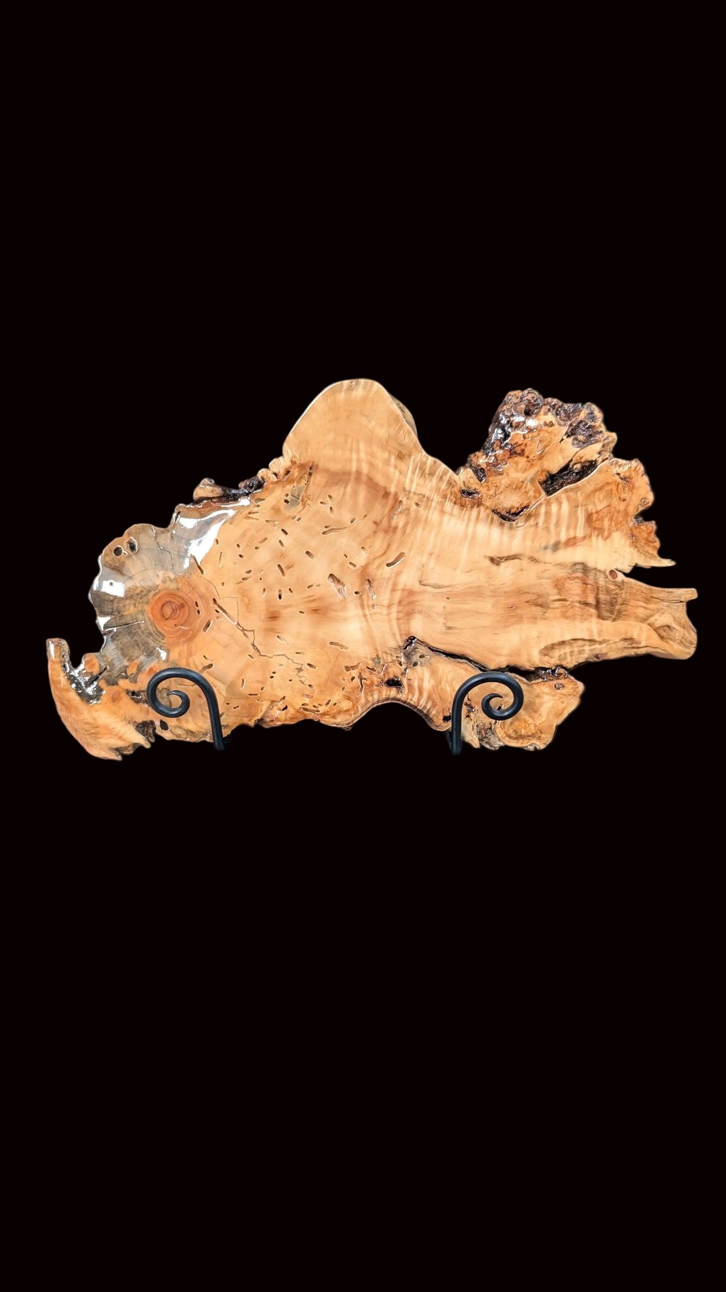 Colorado Wood Root Platter