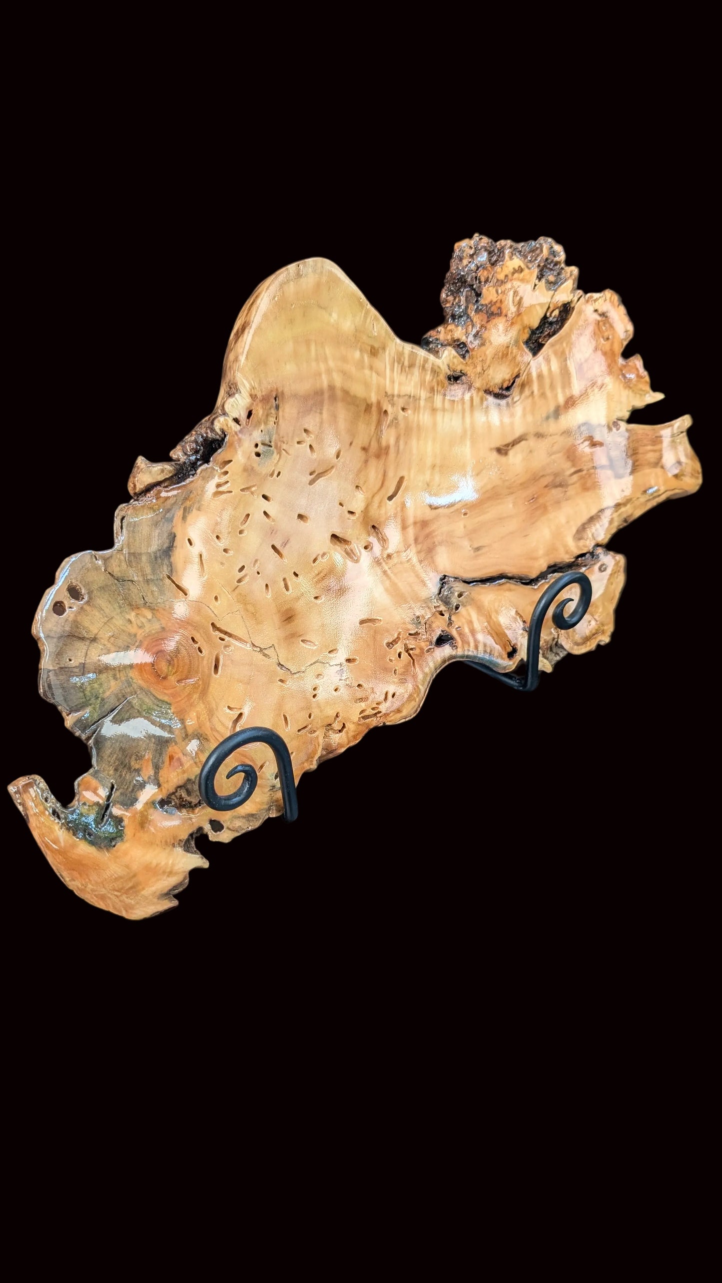 Colorado Wood Root Platter