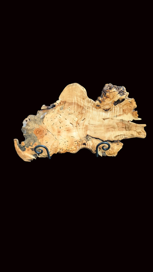 Colorado Natural Wood Root Platter