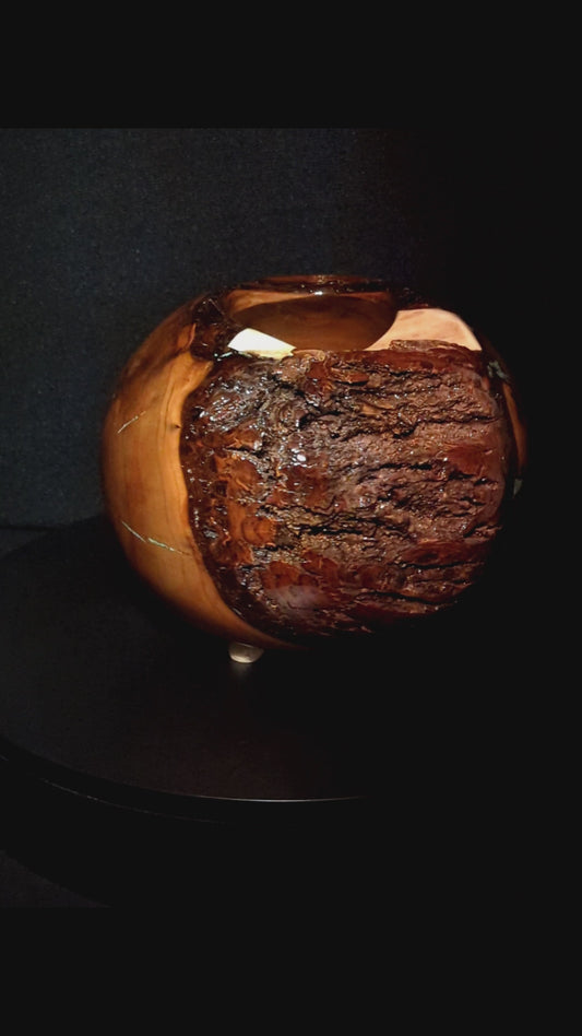 Walnut Vessel (Whitetail Deer Antler & Turquoise Inlay)