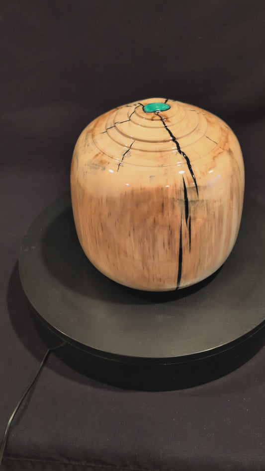 Aspen with Turquoise Urn