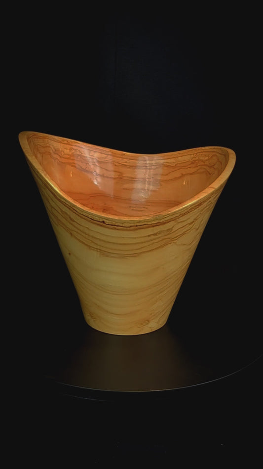 Colorado Poplar